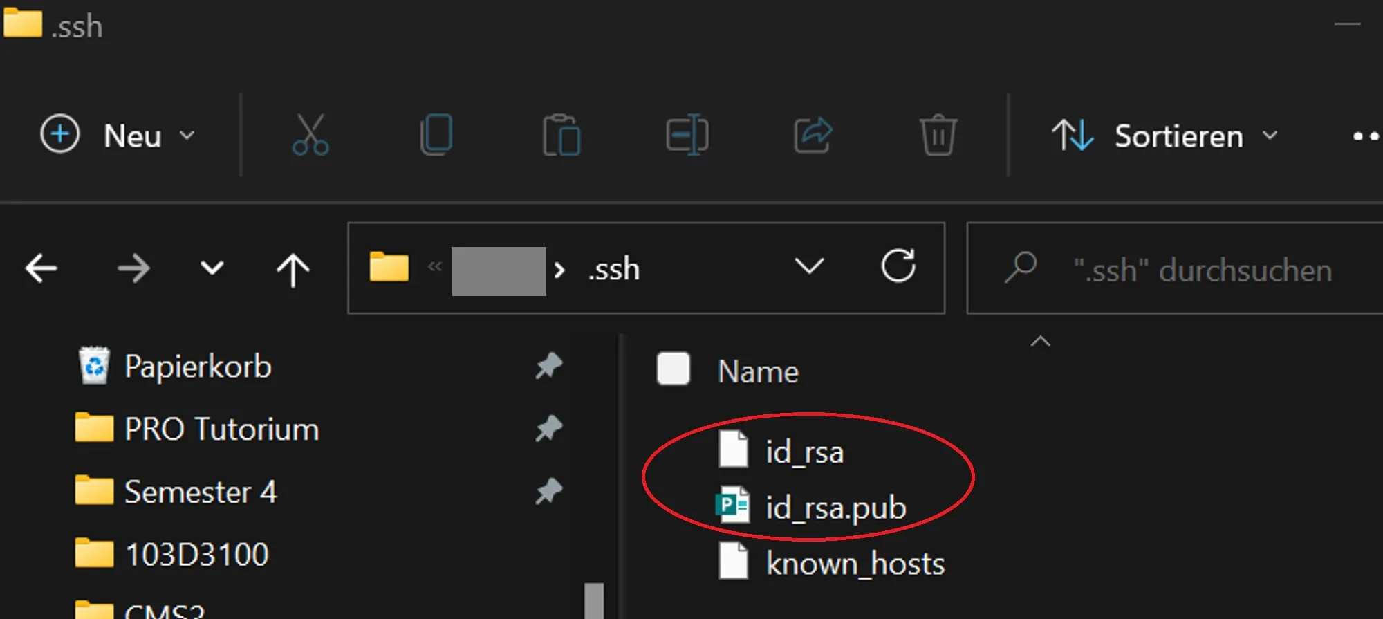 SSH Directory on Windows
